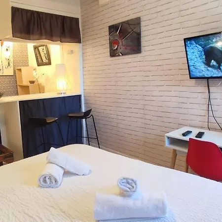 Cosy-2 Pers-coeur De Ville-proche Bd Pyrénées Pau