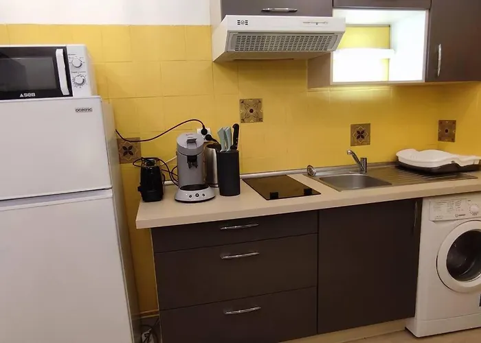 Cosy-2 Pers-coeur De Ville-proche Bd Pyrénées Appartement Pau