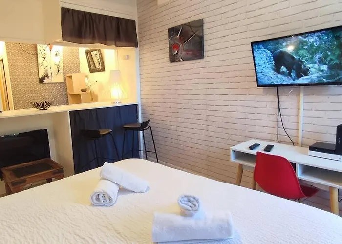 Cosy-2 Pers-coeur De Ville-proche Bd Pyrénées Pau