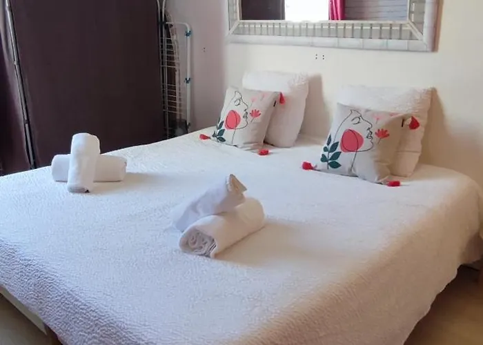 Cosy-2 Pers-coeur De Ville-proche Bd Pyrénées Pau