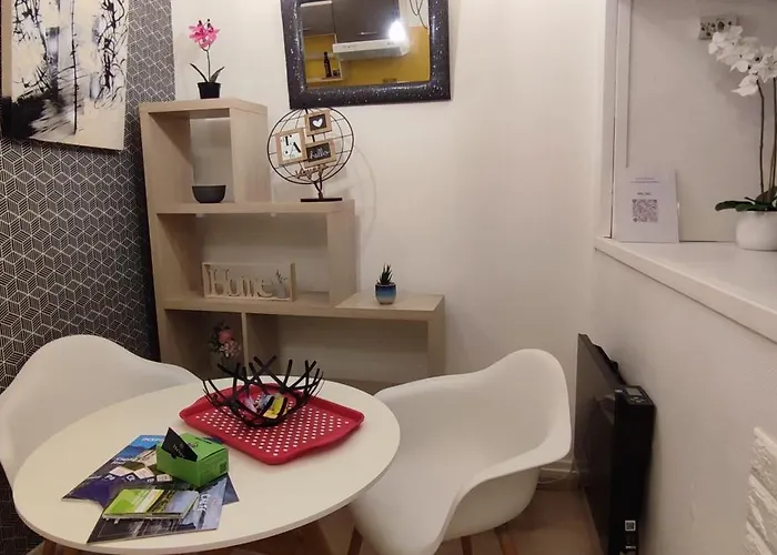 Cosy-2 Pers-coeur De Ville-proche Bd Pyrénées * Pau